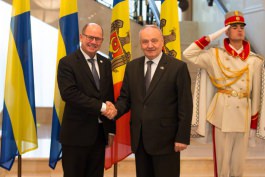 Moldovan president receives Swedish parliament speaker