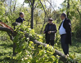 Представители Президентуры оценили ущерб, нанесенный Ботаническому саду, и определили меры по ликвидации последствий