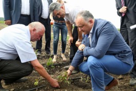 Президент Молдовы посетил компанию «AMG KERNEL»