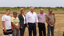 Президент Игорь Додон посетил сельскохозяйственное предприятие «Авито-Люкс» в Гагаузии