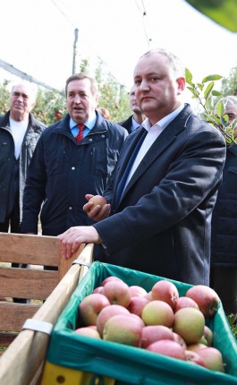 Igor Dodon a vizitat Compania „FarmProd” din satul Olănești, raionul Ștefan Vodă
