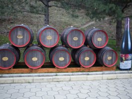 Президент Николае Тимофти принял участие в ярмарке вина «Cu dragoste din sudul Moldovei»