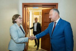 Президент Республики Молдова провел встречу с делегацией Европейского Парламента