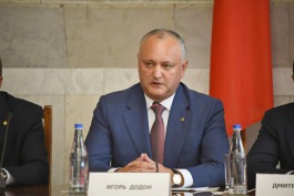 Президент Республики Молдова принял участие в заседании Молдавско-российского экономического совета