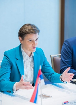 Președintele Republicii Moldova a avut o întrevedere cu Prim-ministrul Serbiei
