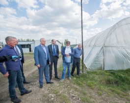 Igor Dodon s-a familiarizat cu activitatea a două întreprinderi agricole din raionul Rezina