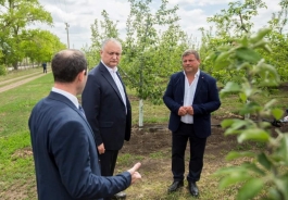 Игорь Додон посетил два аграрных предприятия в Фалештском районе