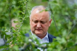 Igor Dodon s-a familiarizat cu activitatea a două întreprinderi agricole din raionul Fălești