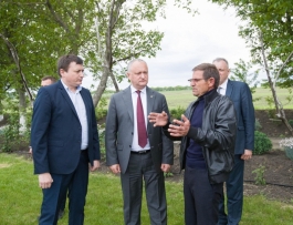 Igor Dodon s-a familiarizat cu activitatea a două întreprinderi agricole din raionul Glodeni