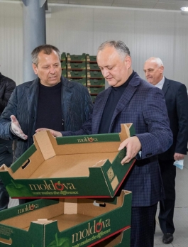 Глава государства ознакомился с деятельностью двух предприятий из Бричанского района