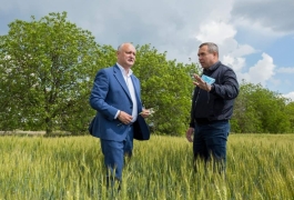 Președintele Republicii Moldova întreprinde o vizită de lucru în sudul țării