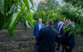 Șeful statului a vizitat doi agenți economici și un veteran din raionul Căușeni