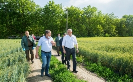 Глава государства посетил несколько аграрных предприятий Дондюшанского района