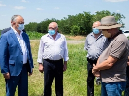 Игорь Додон посетил два аграрных предприятия в селе Валя-Пержей Тараклийского района