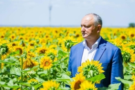 Игорь Додон посетил два аграрных предприятия в селе Валя-Пержей Тараклийского района