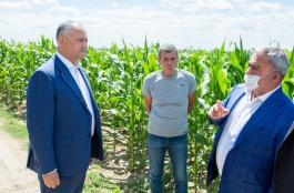 Глава государства посетил аграрное предприятие ООО Tehnostel Car в Хынчештском районе