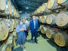 Președintele țării s-a familiarizat cu activitatea întreprinderii vinicole „Făutor” din satul Tigheci