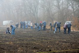 Angajații Administrației prezidențiale au participat la acţiunea „Un arbore pentru dăinuirea noastră” în cadrul Zilei Naţionale de creare a spațiilor verzi