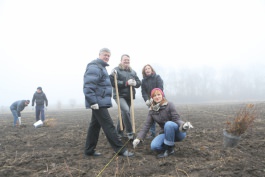 Angajații Administrației prezidențiale au participat la acţiunea „Un arbore pentru dăinuirea noastră” în cadrul Zilei Naţionale de creare a spațiilor verzi