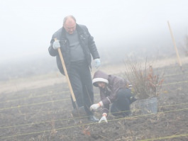 Angajații Administrației prezidențiale au participat la acţiunea „Un arbore pentru dăinuirea noastră” în cadrul Zilei Naţionale de creare a spațiilor verzi