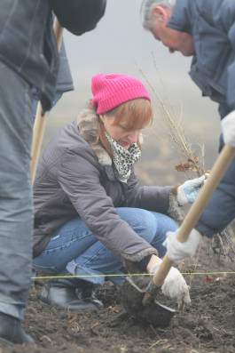 Angajații Administrației prezidențiale au participat la acţiunea „Un arbore pentru dăinuirea noastră” în cadrul Zilei Naţionale de creare a spațiilor verzi