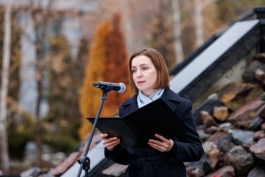 Mesajul Președintei Maia Sandu la mitingul de comemorare a victimelor Holocaustului