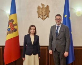 Глава государства встретилась с Послом Румынии в Республике Молдова в контексте ее визита в Бухарест в ближайшие дни