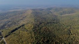 Президент Майя Санду выступила с посланием по случаю Международного дня леса
